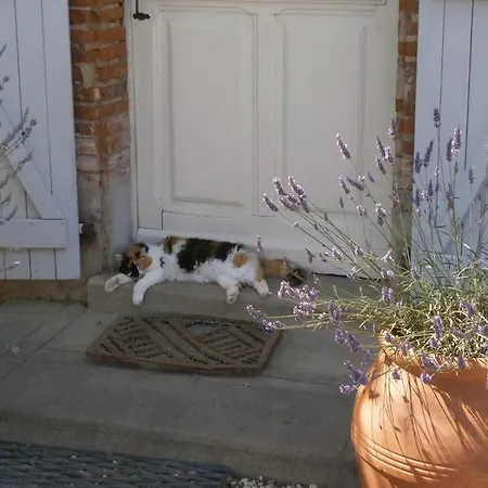 La Ferme Montplaisir Konukevi