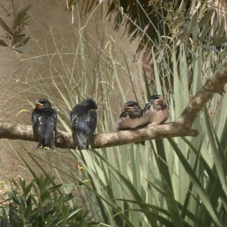 Konukevi La Ferme Montplaisir