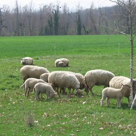 La Ferme Montplaisir 3*