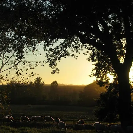 בית הארחה La Ferme Montplaisir Montesquieu-Volvestre