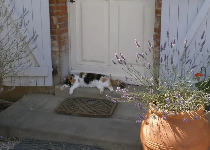 蒙特普莱西农场旅馆 招待所