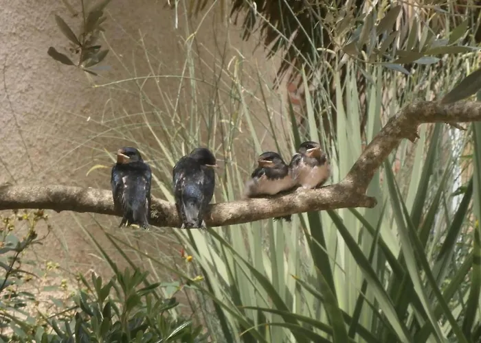 招待所 蒙特普莱西农场旅馆