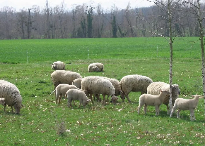 La Ferme Montplaisir 3*