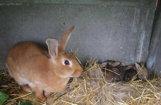 La Ferme Montplaisir